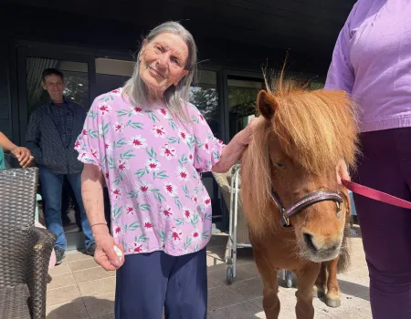 Pet a Pony