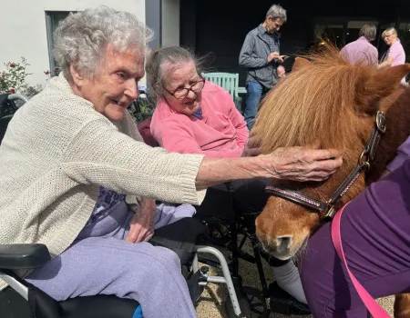 Pet a Pony