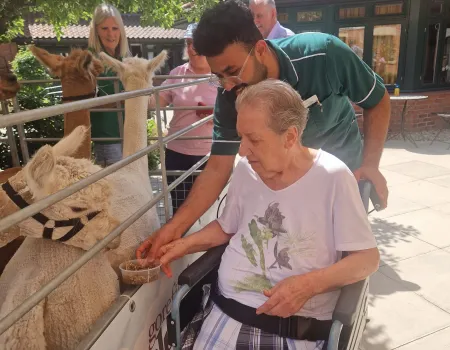 A Wonderful Alpaca Visit from Gorefield Alpacas