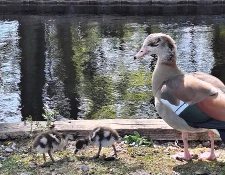 Sunny day adventures
