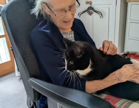 Pet therapy