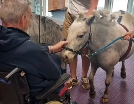 Therapy pony visit 