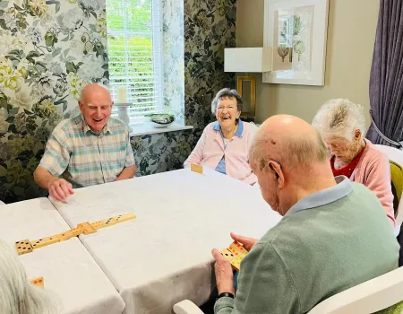 Dominoes club 