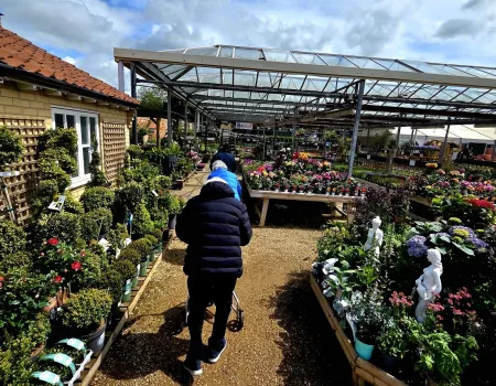 Elton Garden Centre - Chelsea Flower Show