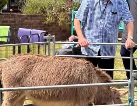 A visit from the farm