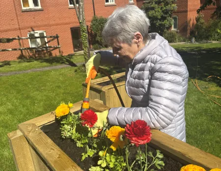 Our New Sensory Garden