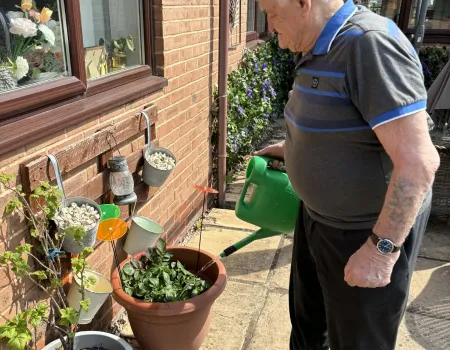 Garden project 