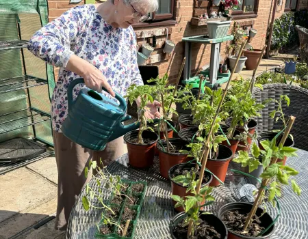 Garden project 