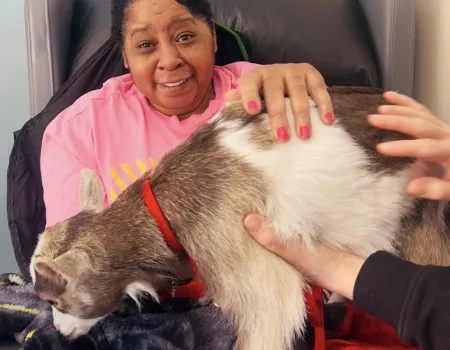 Animal therapy 