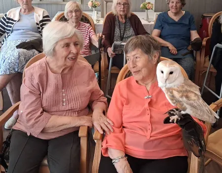 Birds of prey visit 