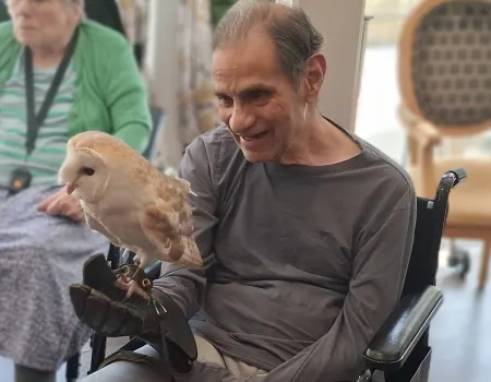 Birds of prey visit 