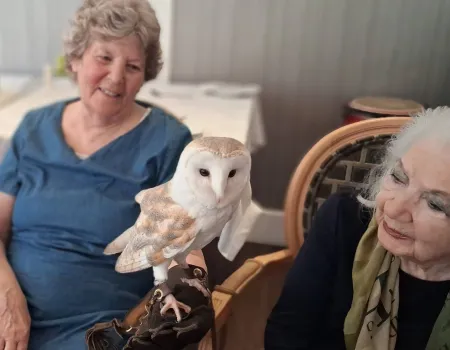 Birds of prey visit 