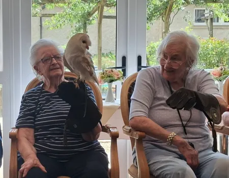 Birds of prey visit 