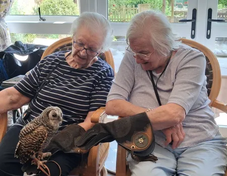 Birds of prey visit 