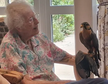 Birds of prey visit 