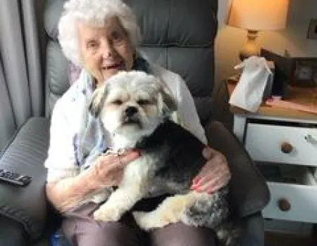 The Return of Lorenzo & Earl, Pet Therapy Dogs