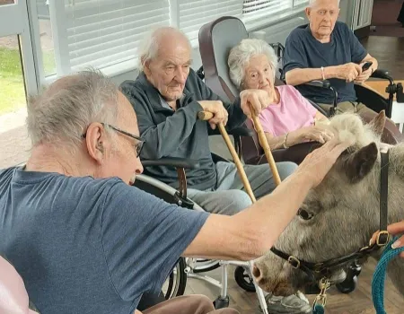 Therapy pony visit 