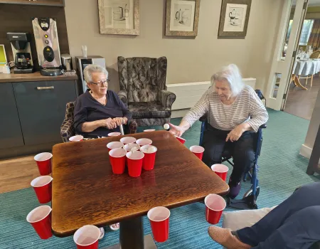 Ping pong games
