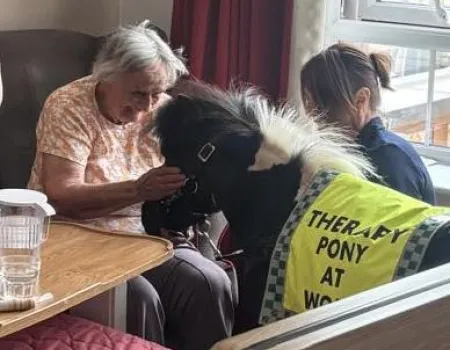 Pony visit