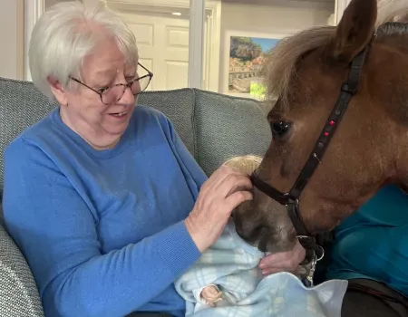 Miniature Horses Visit