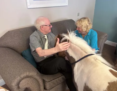 Miniature Horses Visit