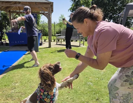 Dog Show