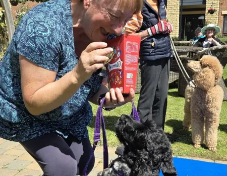 Dog Show