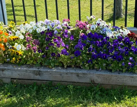 Team Spotlight as We Celebrate 9 Years of Brendan’s Garden Magic!
