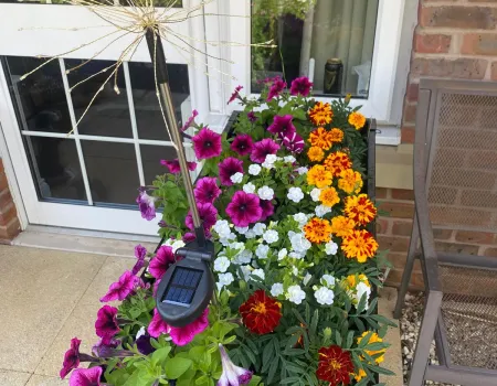 Team Spotlight as We Celebrate 9 Years of Brendan’s Garden Magic!