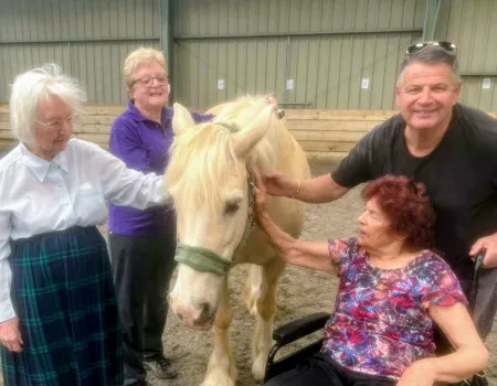 Horse Therapy