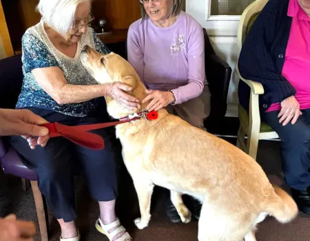 Guide Dog Day