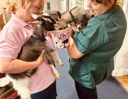 Lambstatic