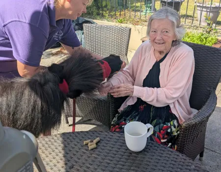 Shetland pony visit 