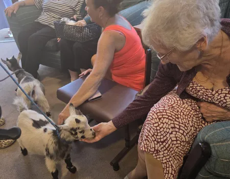 Will's Petting Farm