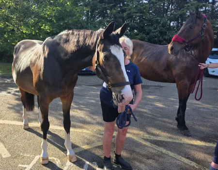 Horse visit 