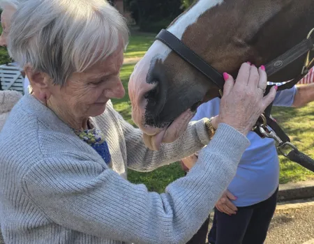 Horse visit 