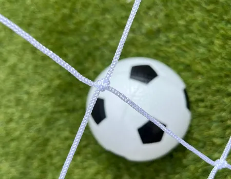 World cup fever has arrived!