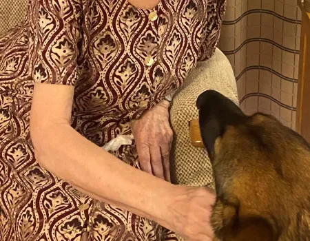 Guide Dogs for the Blind Association 