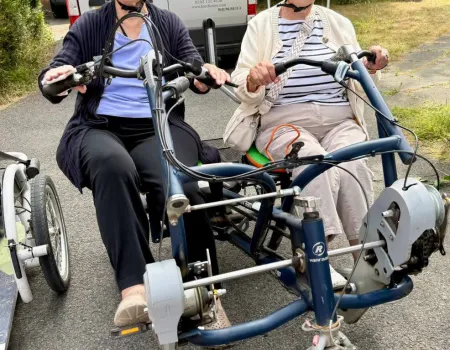 Pedal Power in The New Forest 