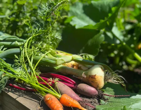 Gardening Club-Nothing Beats Home Grown