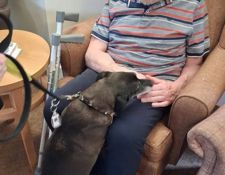 Therapy Dog Visit