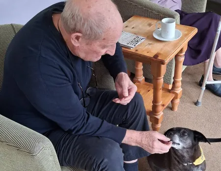 Therapy Dog Visit