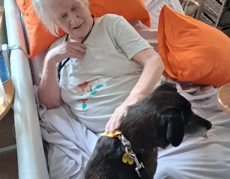 Therapy Dog Visit