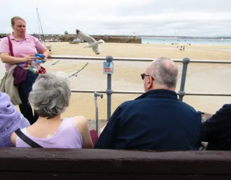 Making dreams come true 