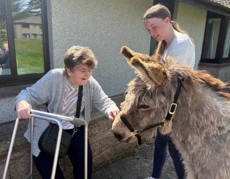 Donkey Visit 
