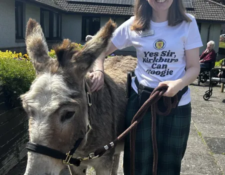 Donkey Visit 
