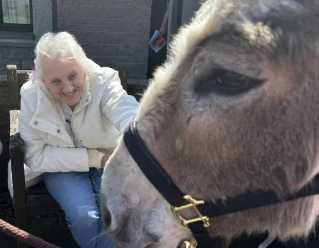 Donkey Visit 