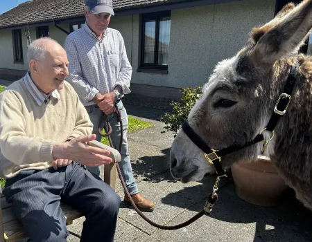 Donkey Visit 