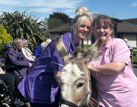Donkey Visit 