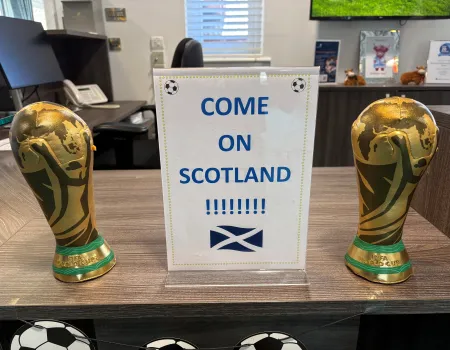 World cup celebrations 